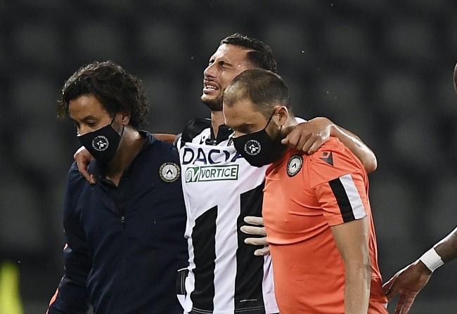 玩家不仅可 玩家不仅可